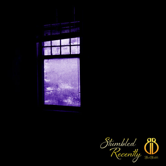 Stumbled Recently (Official Video)