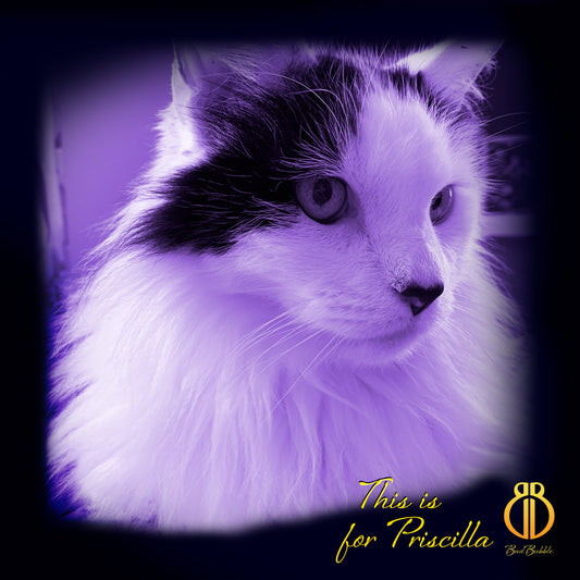 This is for Priscilla